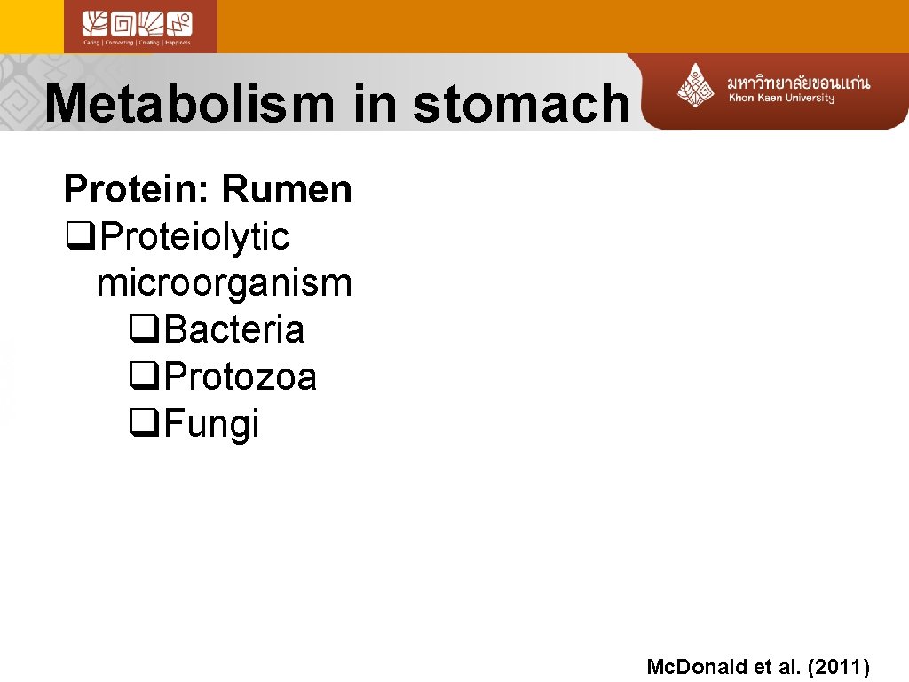 Metabolism in stomach Protein: Rumen q. Proteiolytic microorganism q. Bacteria q. Protozoa q. Fungi