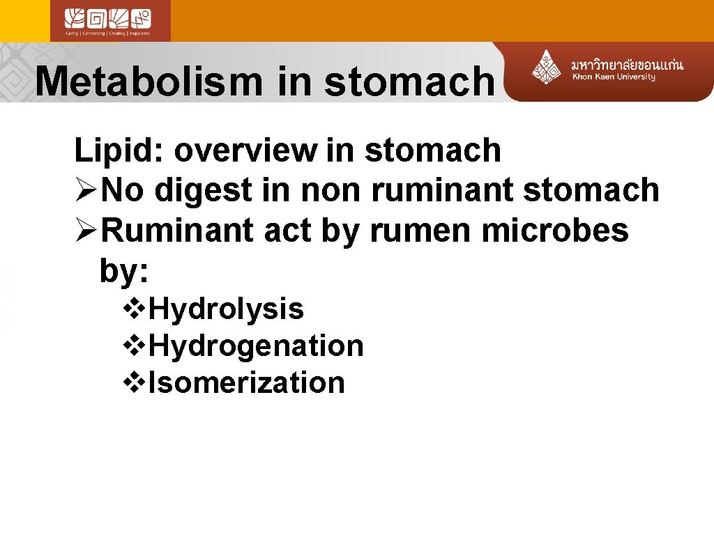 Metabolism in stomach Lipid: overview in stomach ØNo digest in non ruminant stomach ØRuminant