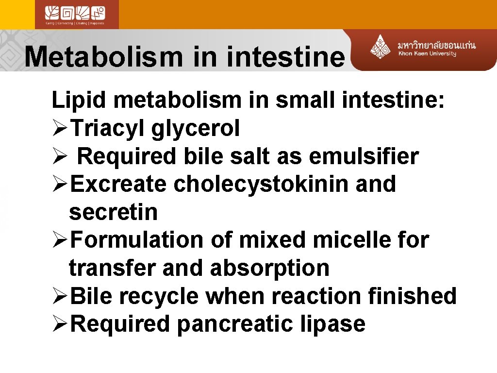 Metabolism in intestine Lipid metabolism in small intestine: ØTriacyl glycerol Ø Required bile salt