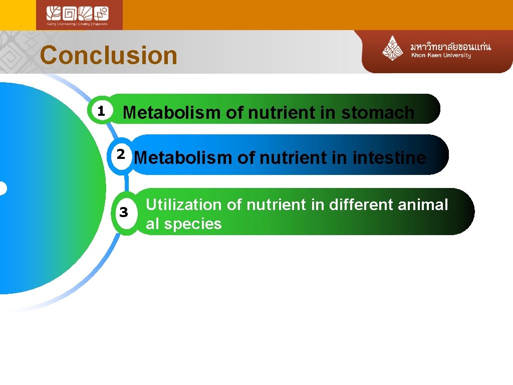 Conclusion 1 Metabolism of nutrient in stomach 2 3 Metabolism of nutrient in intestine