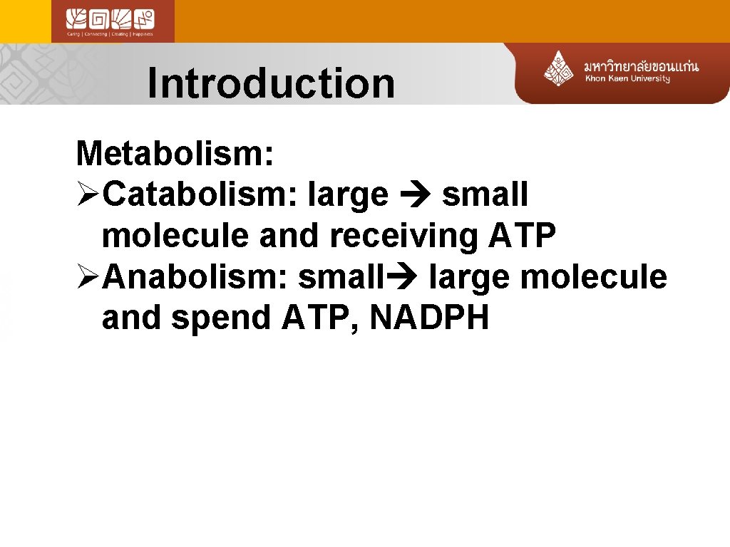 Introduction Metabolism: ØCatabolism: large small molecule and receiving ATP ØAnabolism: small large molecule and