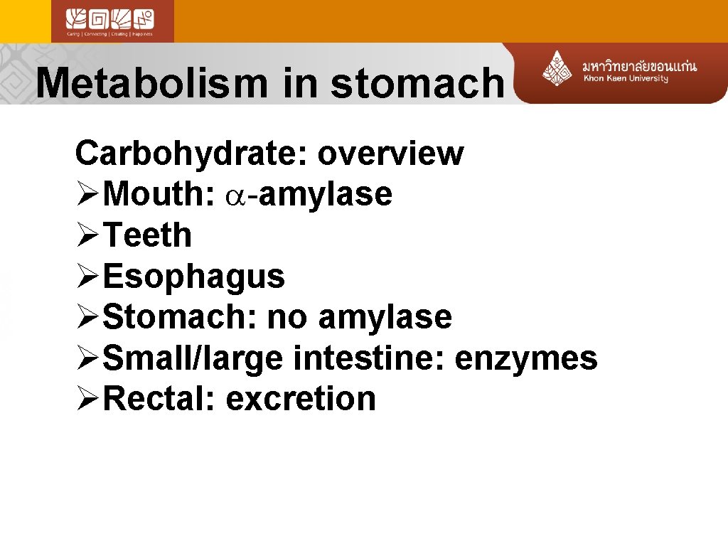 Metabolism in stomach Carbohydrate: overview ØMouth: -amylase ØTeeth ØEsophagus ØStomach: no amylase ØSmall/large intestine: