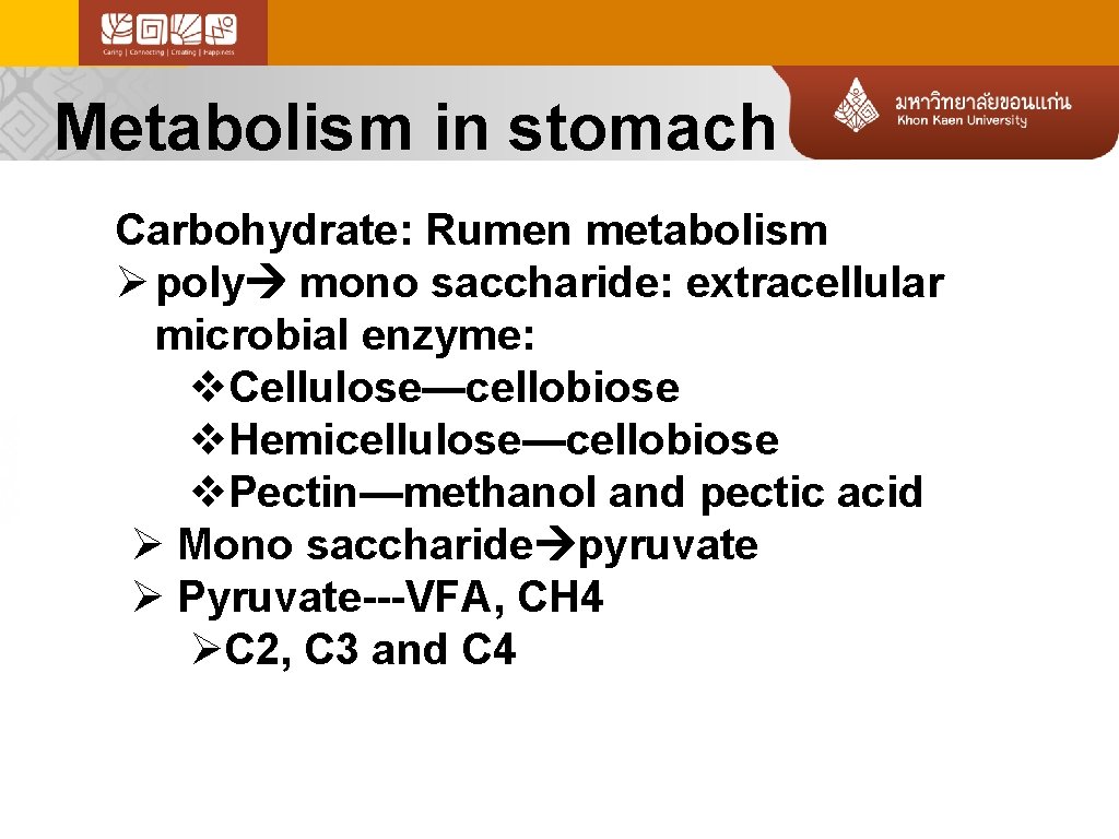 Metabolism in stomach Carbohydrate: Rumen metabolism Ø poly mono saccharide: extracellular microbial enzyme: v.