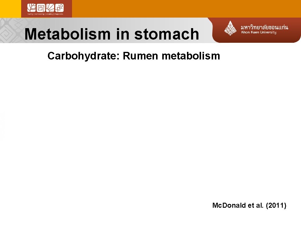Metabolism in stomach Carbohydrate: Rumen metabolism Mc. Donald et al. (2011) 