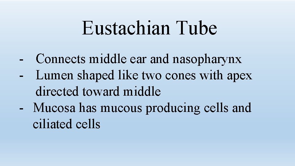 Eustachian Tube - Connects middle ear and nasopharynx - Lumen shaped like two cones