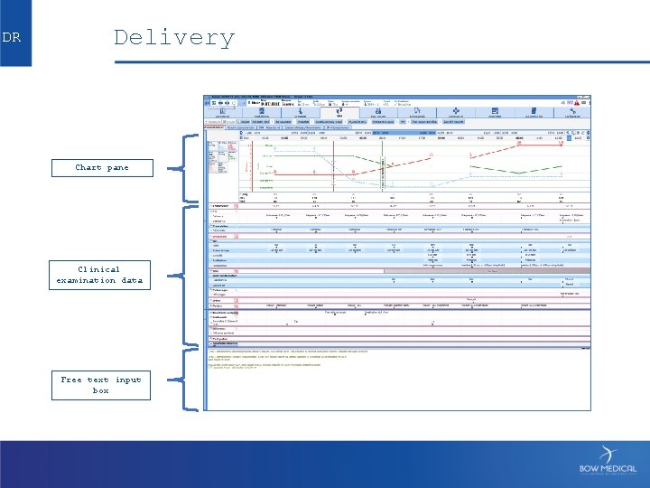 DR Delivery Chart pane Clinical examination data Free text input box 