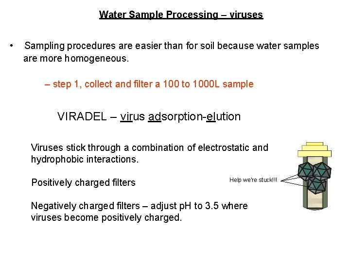 Water Sample Processing – viruses • Sampling procedures are easier than for soil because Water Sample Processing – viruses • Sampling procedures are easier than for soil because