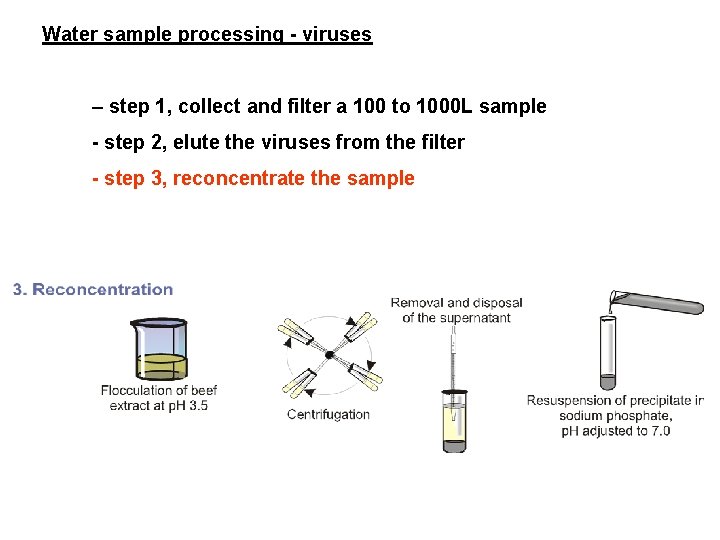 Water sample processing - viruses – step 1, collect and filter a 100 to Water sample processing - viruses – step 1, collect and filter a 100 to