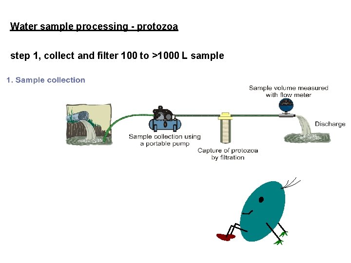 Water sample processing - protozoa step 1, collect and filter 100 to >1000 L Water sample processing - protozoa step 1, collect and filter 100 to >1000 L
