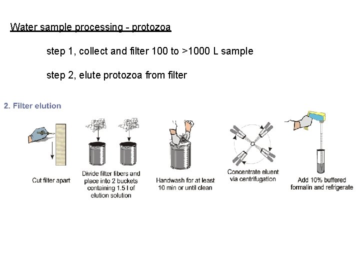 Water sample processing - protozoa step 1, collect and filter 100 to >1000 L Water sample processing - protozoa step 1, collect and filter 100 to >1000 L