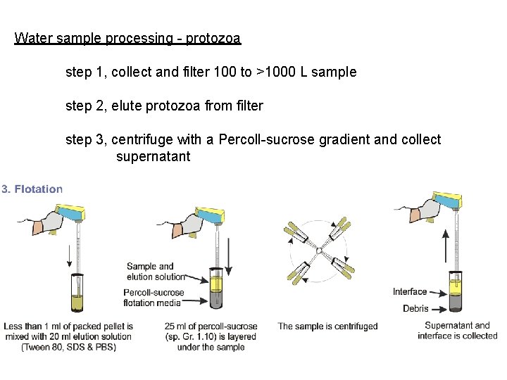 Water sample processing - protozoa step 1, collect and filter 100 to >1000 L Water sample processing - protozoa step 1, collect and filter 100 to >1000 L