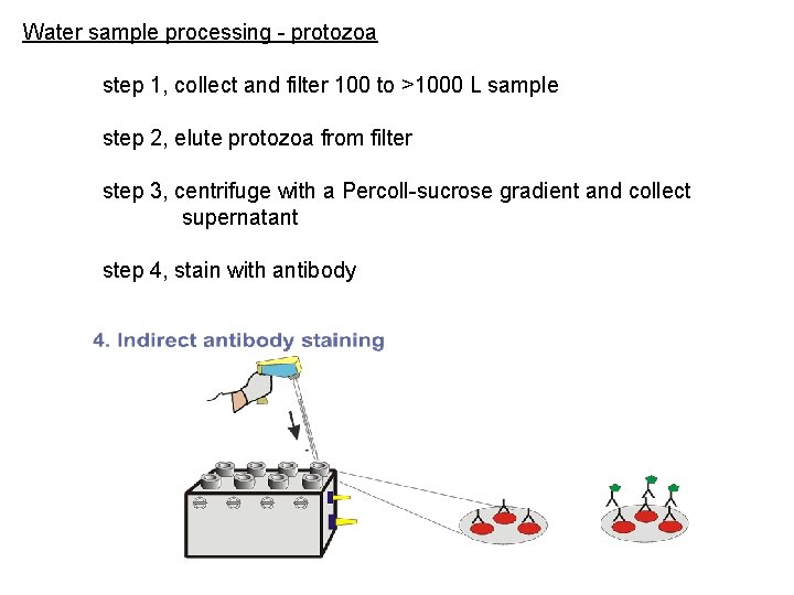 Water sample processing - protozoa step 1, collect and filter 100 to >1000 L Water sample processing - protozoa step 1, collect and filter 100 to >1000 L