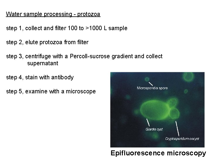 Water sample processing - protozoa step 1, collect and filter 100 to >1000 L Water sample processing - protozoa step 1, collect and filter 100 to >1000 L