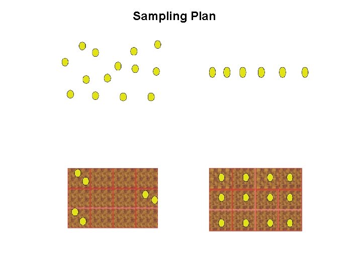 Sampling Plan  Sampling Plan
