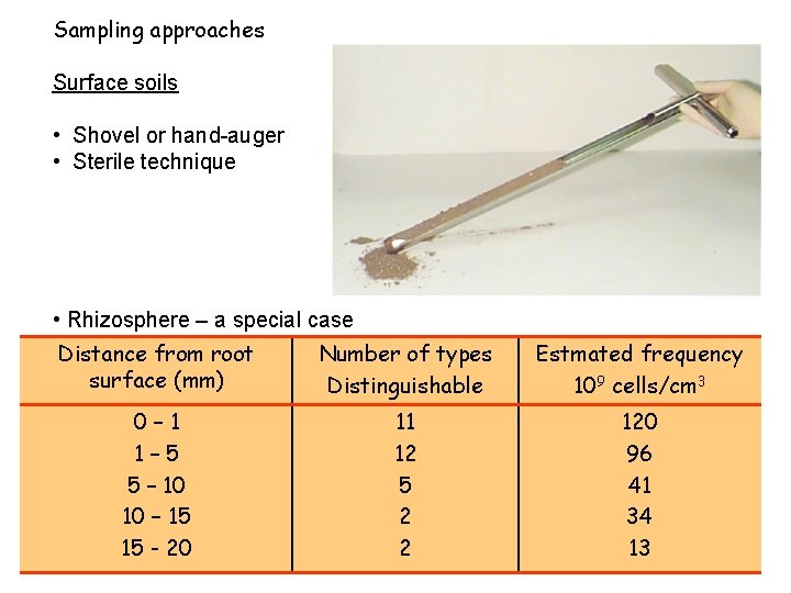 Sampling approaches Surface soils • Shovel or hand-auger • Sterile technique • Rhizosphere – Sampling approaches Surface soils • Shovel or hand-auger • Sterile technique • Rhizosphere –
