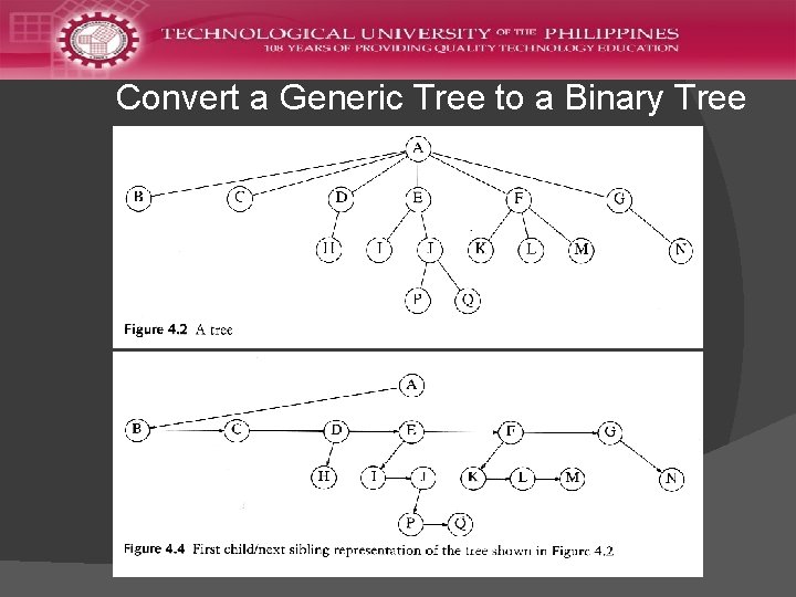 Convert a Generic Tree to a Binary Tree 