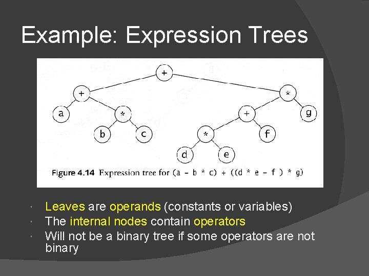 Example: Expression Trees Leaves are operands (constants or variables) The internal nodes contain operators