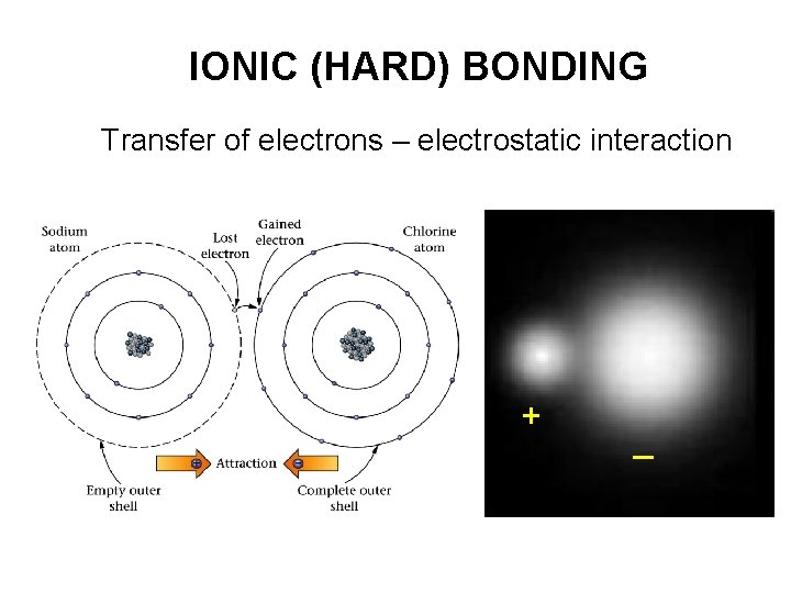 IONIC (HARD) BONDING Transfer of electrons – electrostatic interaction + _ 