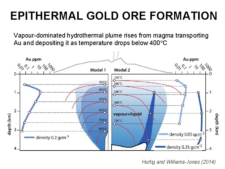 EPITHERMAL GOLD ORE FORMATION Vapour-dominated hydrothermal plume rises from magma transporting Au and depositing