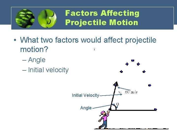 Factors Affecting Projectile Motion • What two factors would affect projectile motion? – Angle