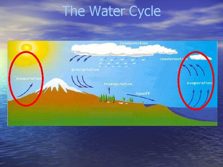 The Water Cycle 