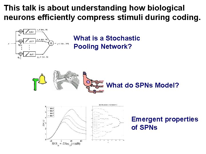 This talk is about understanding how biological neurons efficiently compress stimuli during coding. What This talk is about understanding how biological neurons efficiently compress stimuli during coding. What