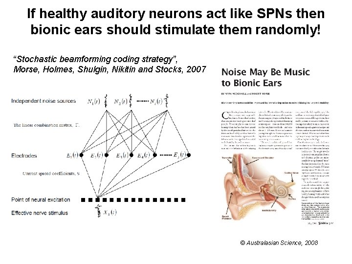 If healthy auditory neurons act like SPNs then bionic ears should stimulate them randomly! If healthy auditory neurons act like SPNs then bionic ears should stimulate them randomly!