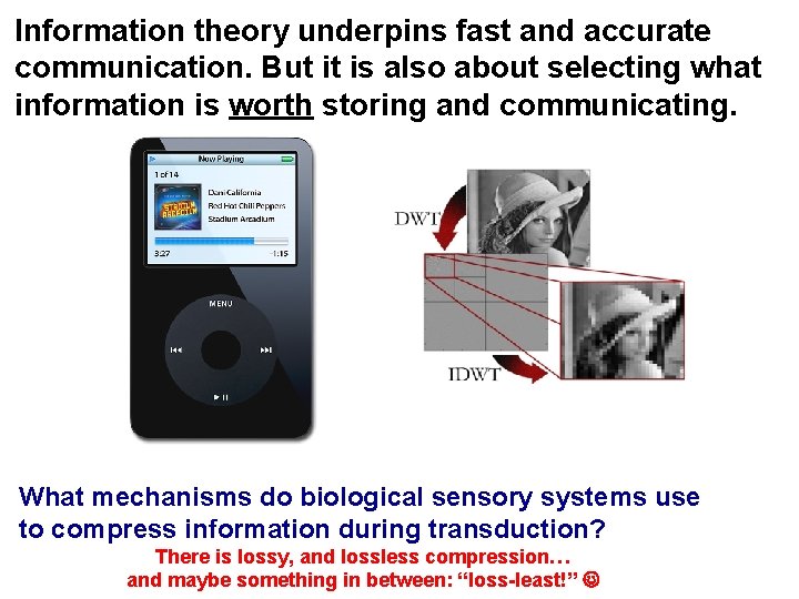 Information theory underpins fast and accurate communication. But it is also about selecting what Information theory underpins fast and accurate communication. But it is also about selecting what