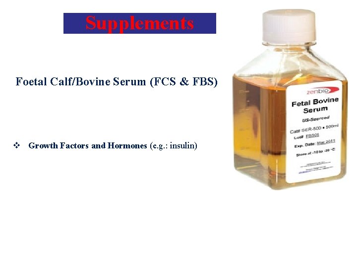 Supplements Foetal Calf/Bovine Serum (FCS & FBS) v Growth Factors and Hormones (e. g.