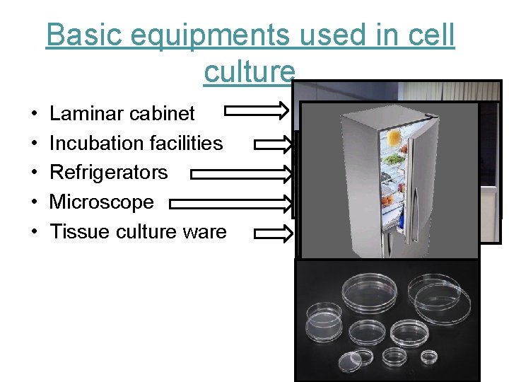 Basic equipments used in cell culture • • • Laminar cabinet Incubation facilities Refrigerators
