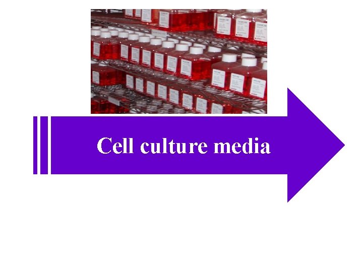 Cell culture media 