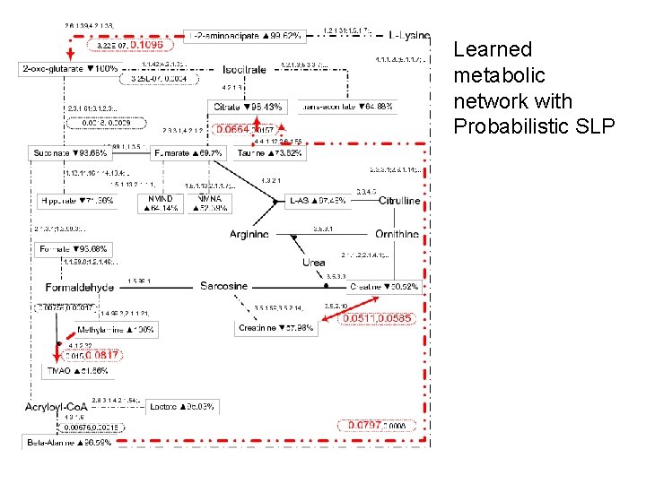 Learned metabolic network with Probabilistic SLP 