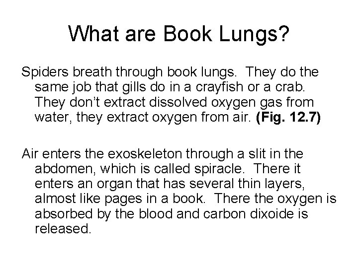 What are Book Lungs? Spiders breath through book lungs. They do the same job