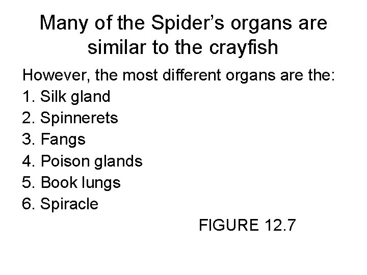 Many of the Spider’s organs are similar to the crayfish However, the most different