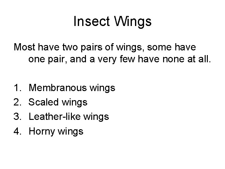 Insect Wings Most have two pairs of wings, some have one pair, and a