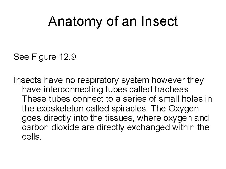 Anatomy of an Insect See Figure 12. 9 Insects have no respiratory system however