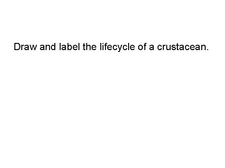 Draw and label the lifecycle of a crustacean. 