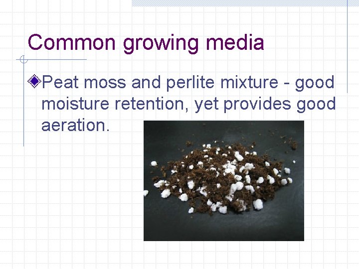Common growing media Peat moss and perlite mixture - good moisture retention, yet provides