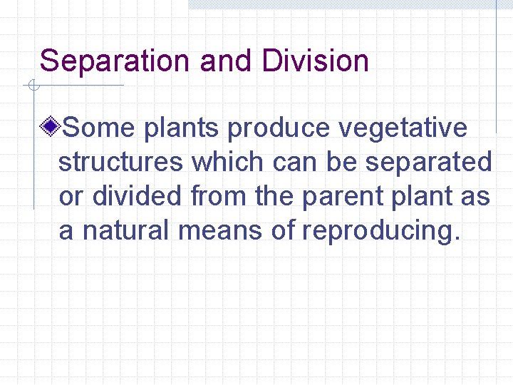 Separation and Division Some plants produce vegetative structures which can be separated or divided