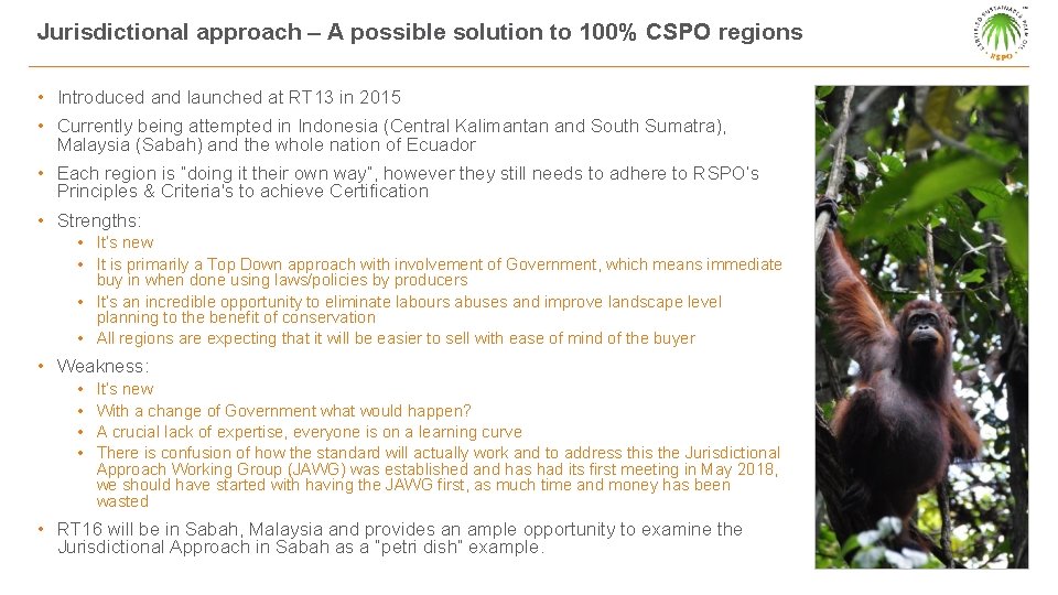 Jurisdictional approach – A possible solution to 100% CSPO regions • Introduced and launched