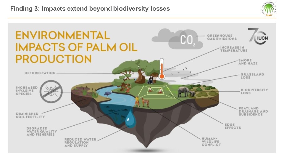 Finding 3: Impacts extend beyond biodiversity losses 