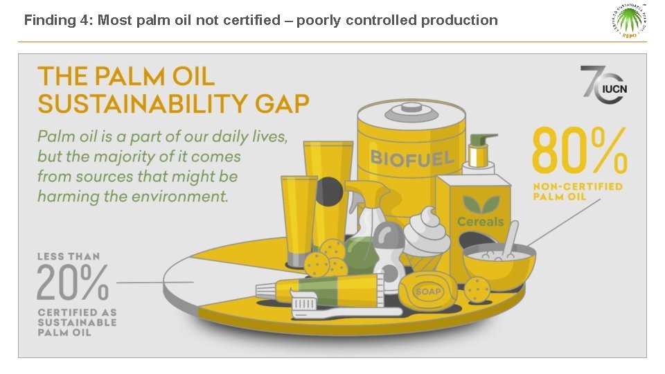 Finding 4: Most palm oil not certified – poorly controlled production 