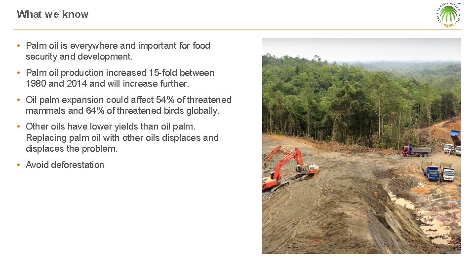 What we know • Palm oil is everywhere and important for food security and