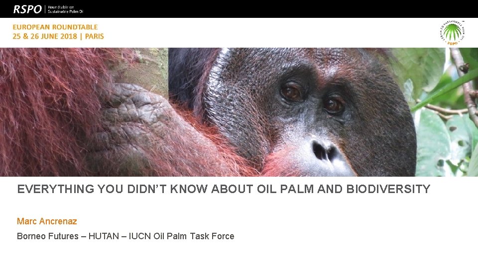 EVERYTHING YOU DIDN’T KNOW ABOUT OIL PALM AND BIODIVERSITY Marc Ancrenaz Borneo Futures –