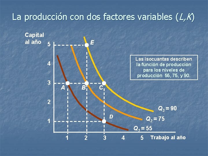 La producción con dos factores variables (L, K) Capital al año 5 E Las