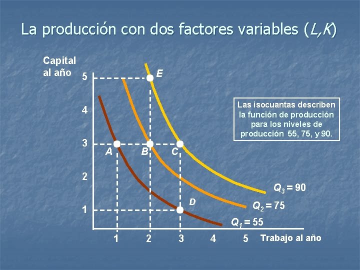 La producción con dos factores variables (L, K) Capital al año 5 E Las