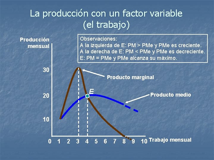 La producción con un factor variable (el trabajo) Observaciones: A la izquierda de E: