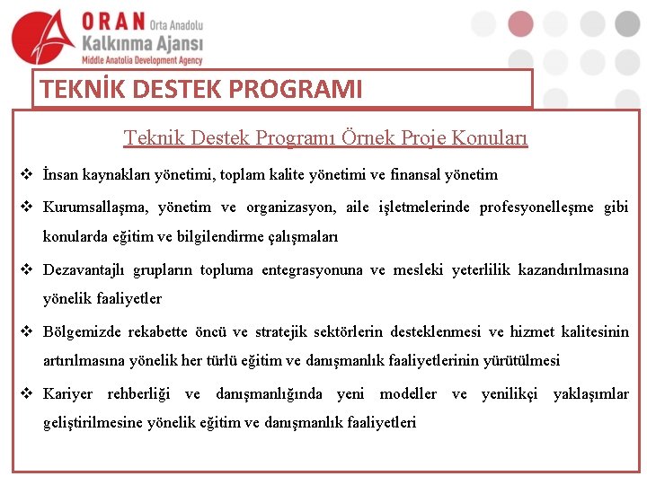 TEKNİK DESTEK PROGRAMI Teknik Destek Programı Örnek Proje Konuları v İnsan kaynakları yönetimi, toplam