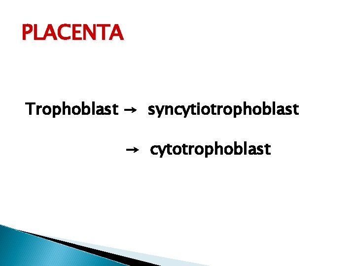 PLACENTA Trophoblast → syncytiotrophoblast → cytotrophoblast 