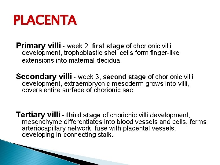 PLACENTA Primary villi - week 2, first stage of chorionic villi development, trophoblastic shell